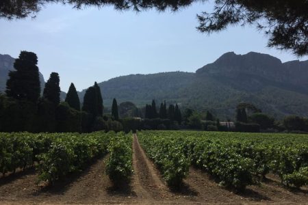 Marseille: Avignon and Côtes du Rhône Wine Tasting Tour