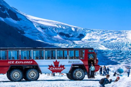 Jasper Columbia Icefield Skywalk and Ice Explorer Ticket