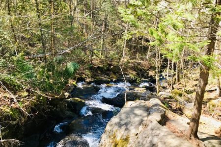 Quebec City: Guided Hike in Jacques-Cartier National Park