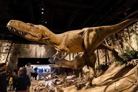Day of Dinosaurs and Hoodoos From Calgary to the Badlands