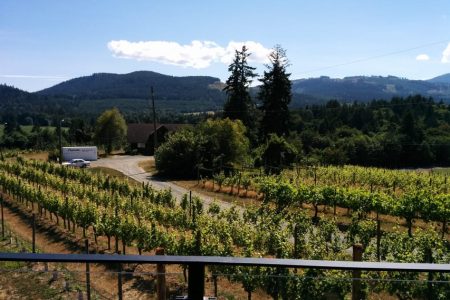 Victoria, BC Food & Wine Tour to the Cowichan Valley