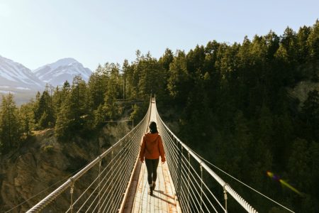 Golden, BC: Golden Skybridge Bridge Pass Admission