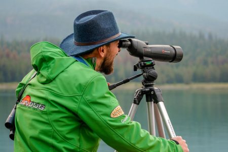 From Jasper: Jasper National Park Wildlife Discovery Tour