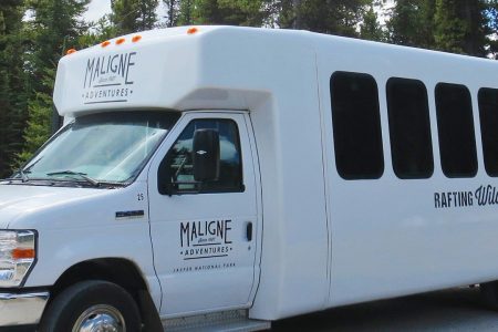Jasper: Wildlife and Waterfalls Tour with Lakeshore Hike