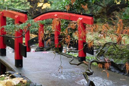 Day Trip from Vancouver to Victoria and Butchart Gardens