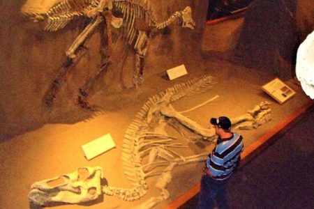 Day of Dinosaurs and Hoodoos From Calgary to the Badlands