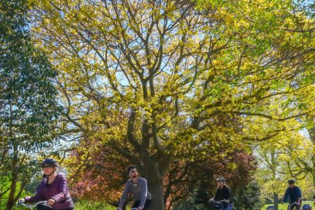 Victoria City Highlights Bike Tour – Castle Hoods & Legends