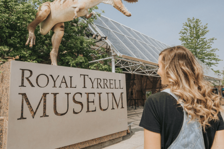 Drumheller, Royal Tyrrell Museum, Horseshoe Canyon, Hoodoos